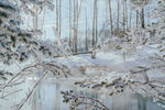 冬季雪景