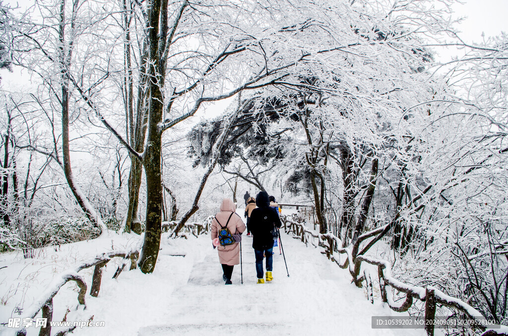 冬季雪景