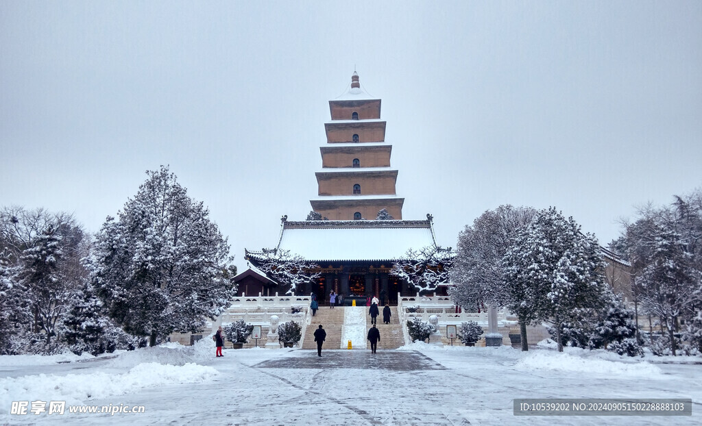 冬季雪景