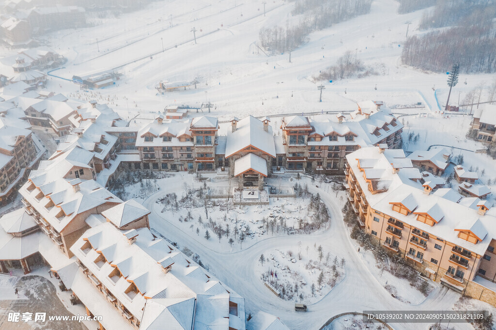 冬季雪景