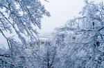 冬季雪景
