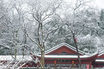冬季雪景