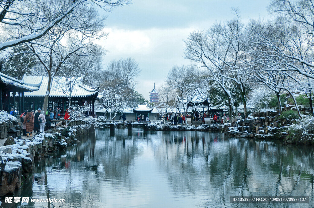 冬季雪景