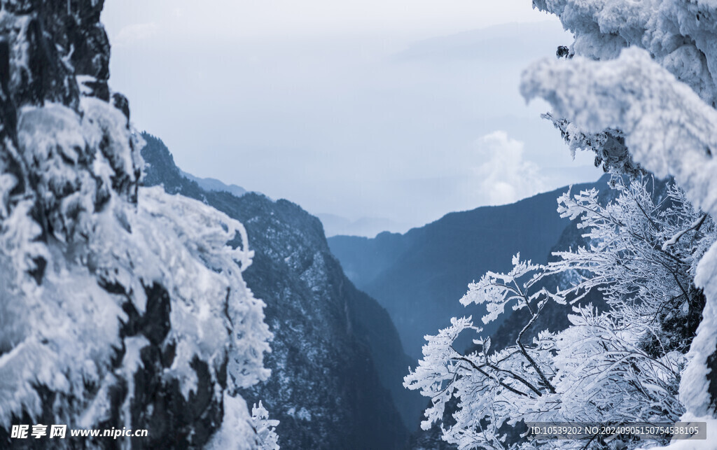 雪景