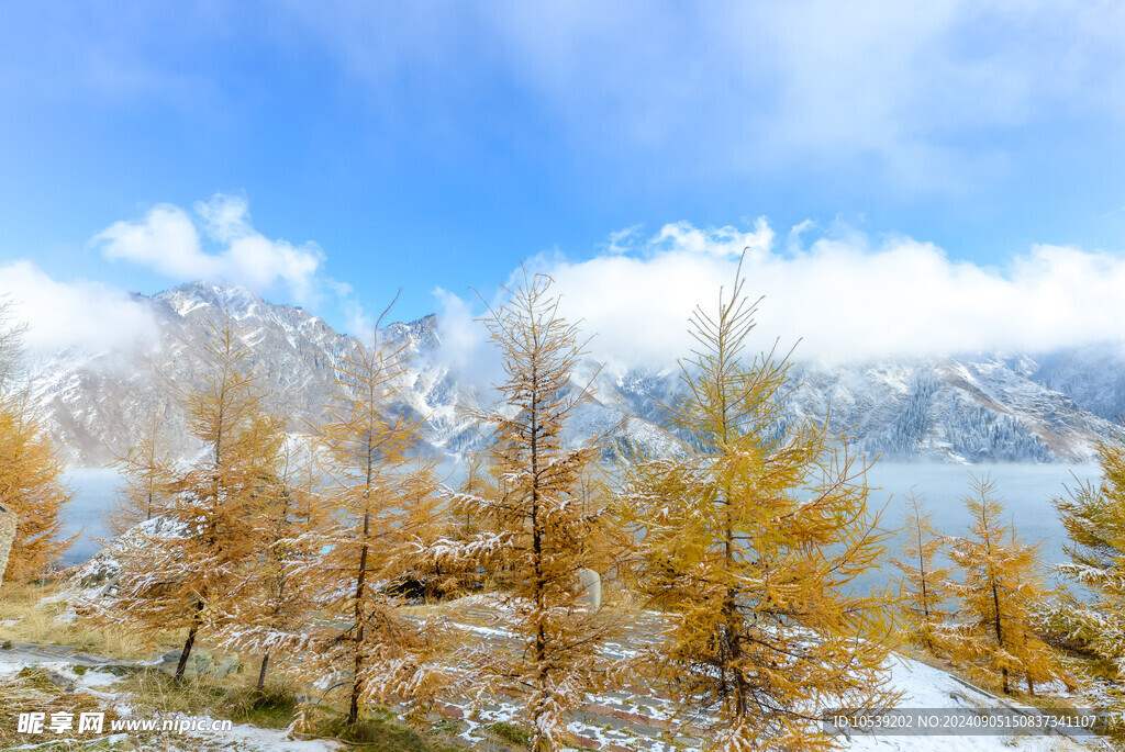 雪景