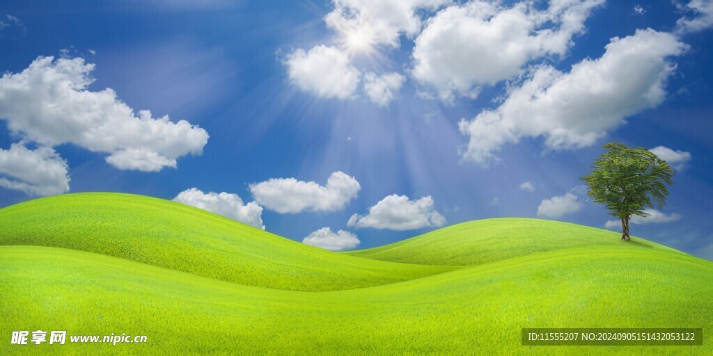 户外景色草地蓝天白云背景图