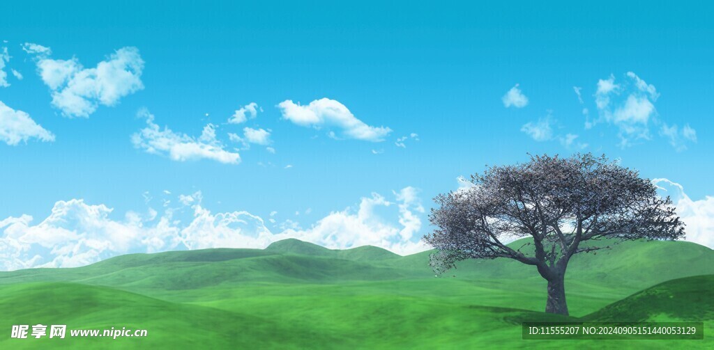 户外景色草地蓝天白云背景图