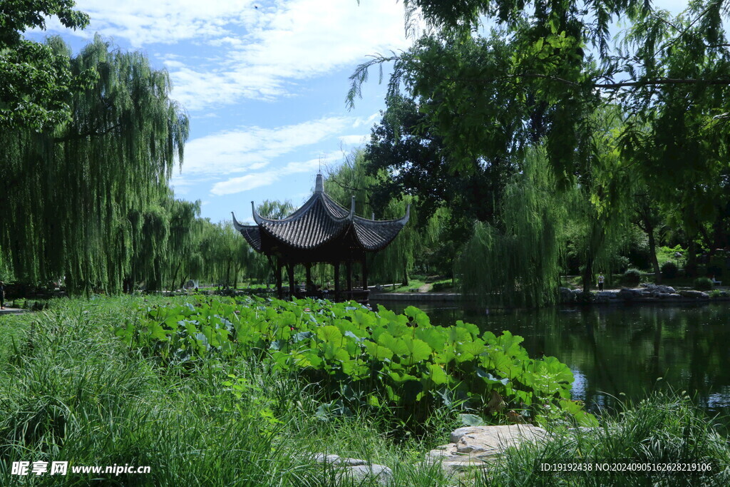 公园风景 