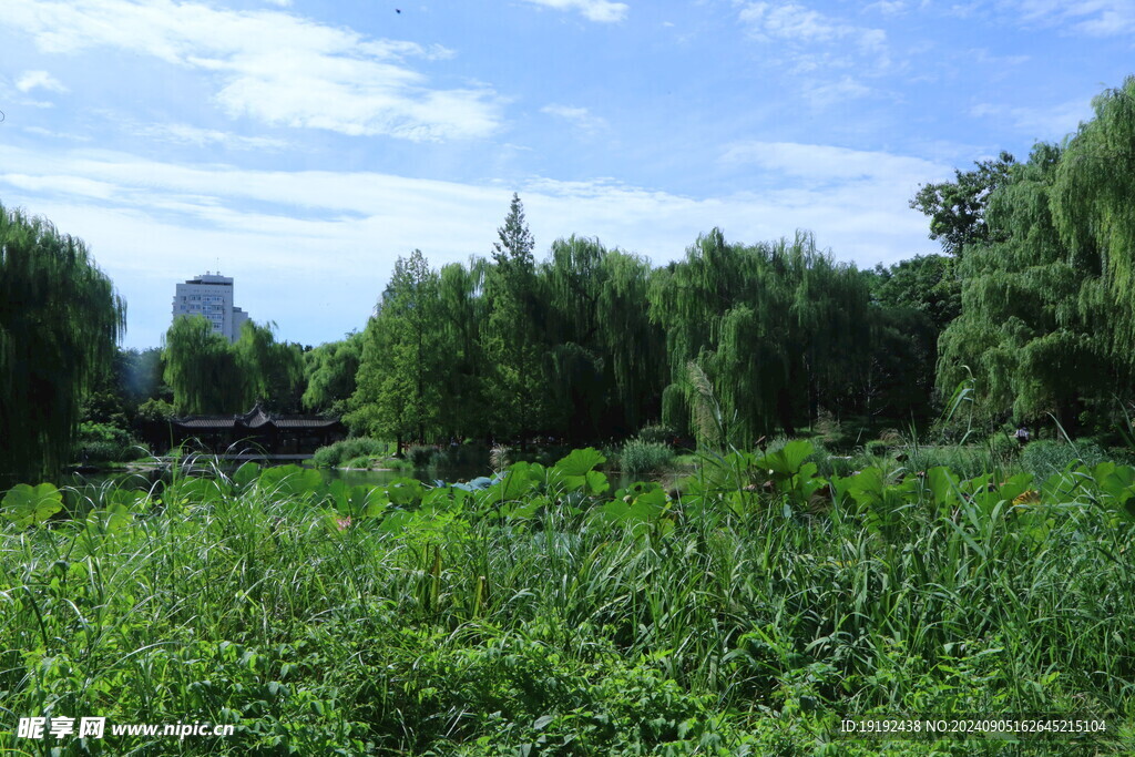 公园风景 