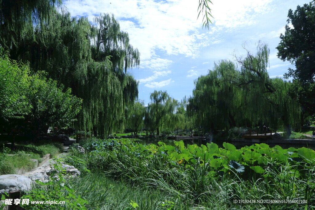 公园风景  