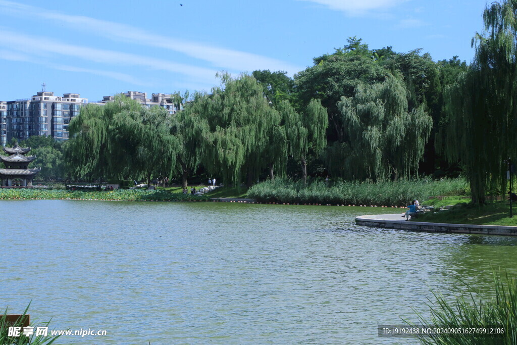 公园风景  