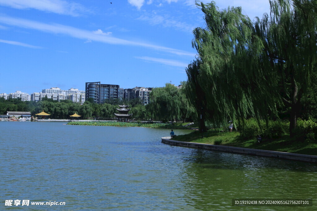 公园风景  