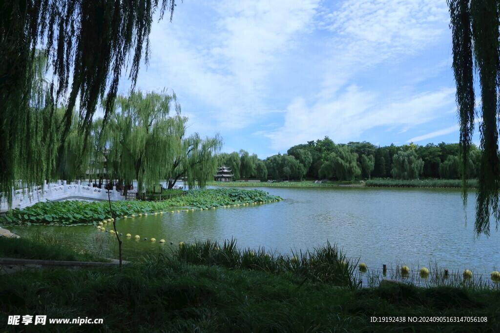 公园风景 