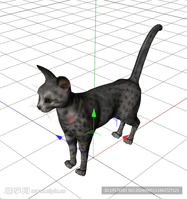 C4D模型 猫