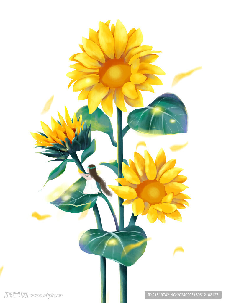 卡通向日葵插画