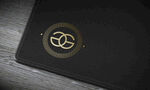 LOGO 样机