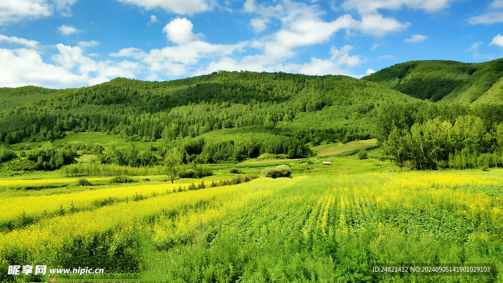 田地