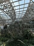 厦门园林植物园