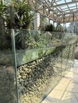 厦门园林植物园