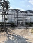 厦门园林植物园