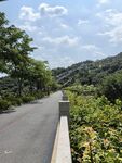 厦门园林植物园