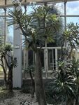 厦门园林植物园