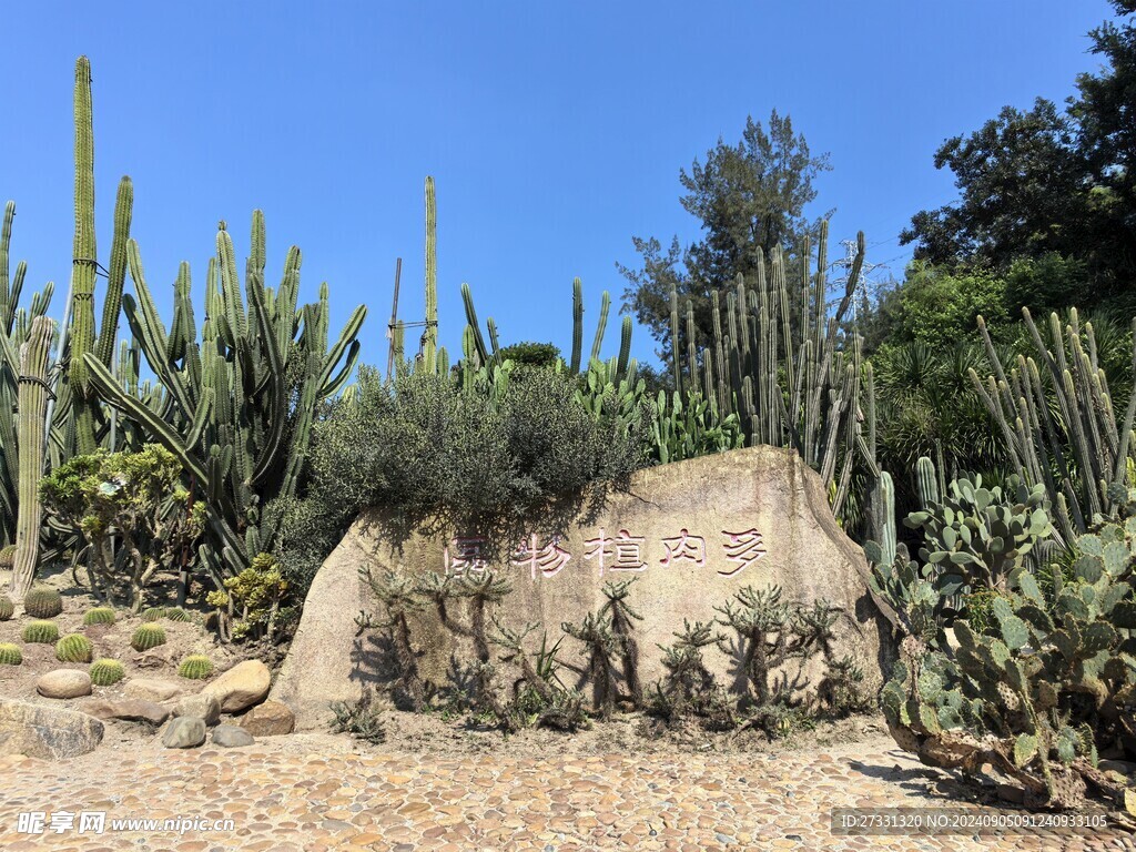 厦门园林植物园