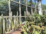 厦门园林植物园