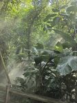 厦门植物园