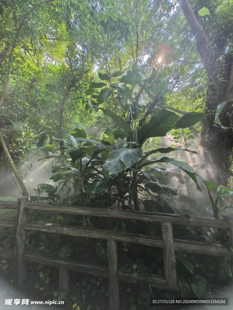 厦门园林植物园