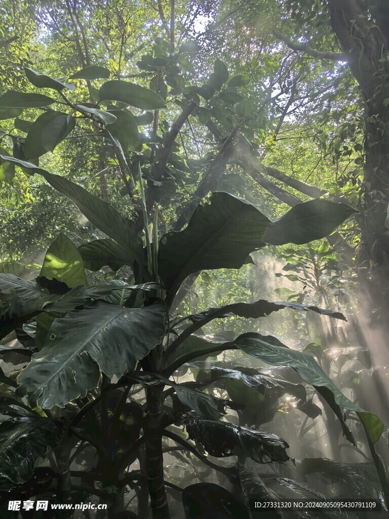 厦门园林植物园