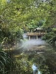 植物园