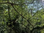 厦门园林植物园