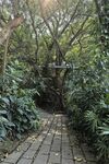 厦门园林植物园