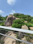 厦门园林植物园