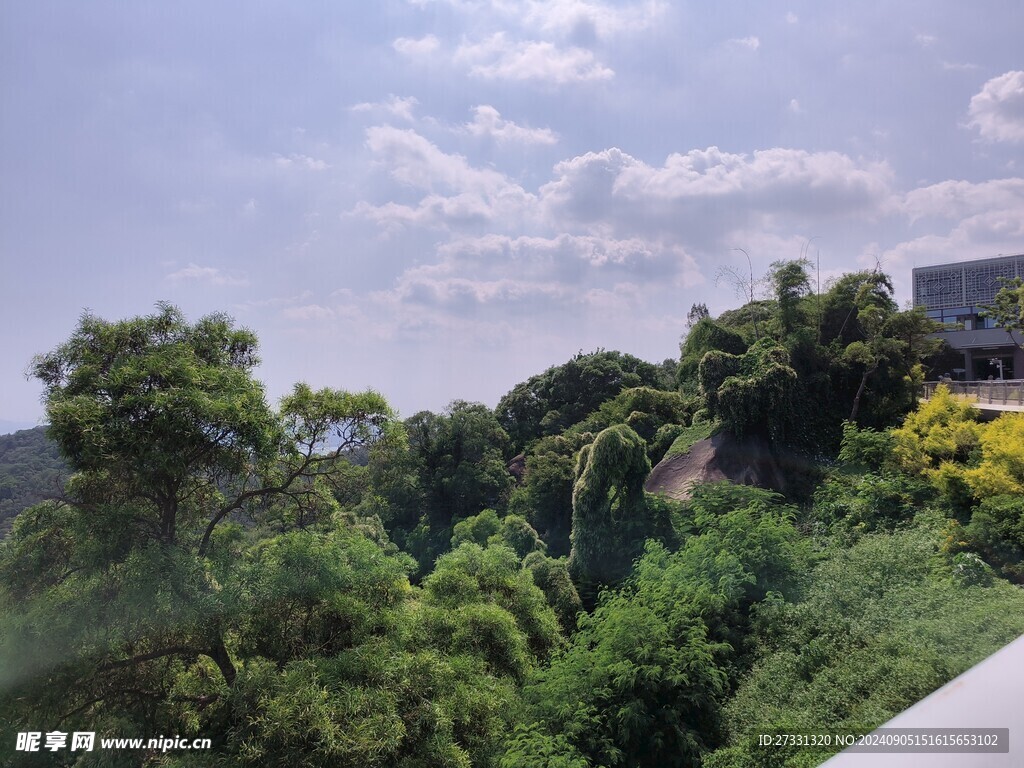 厦门园林植物园