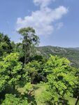 厦门园林植物园