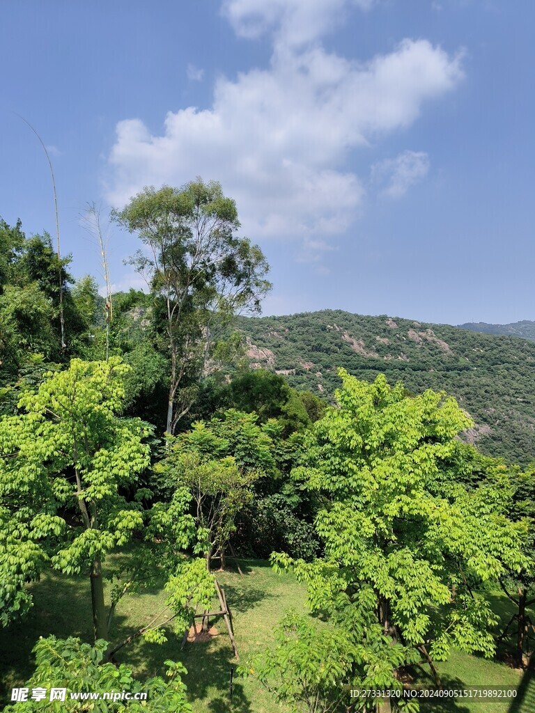 厦门园林植物园