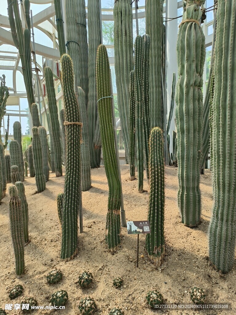 厦门植物园