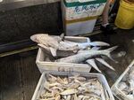 海鲜市场