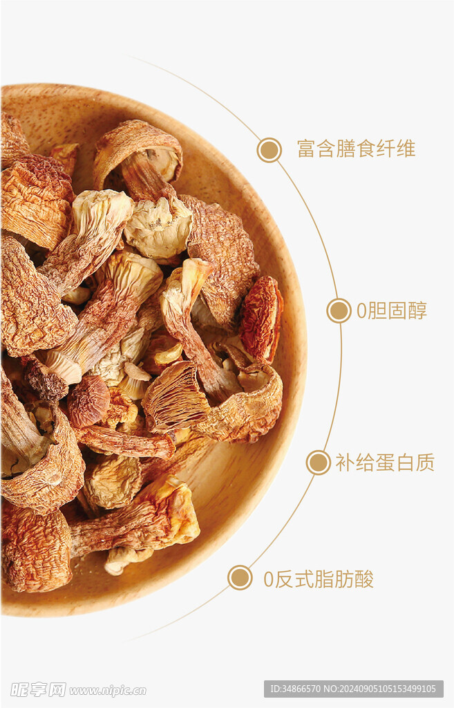 菌菇类主图