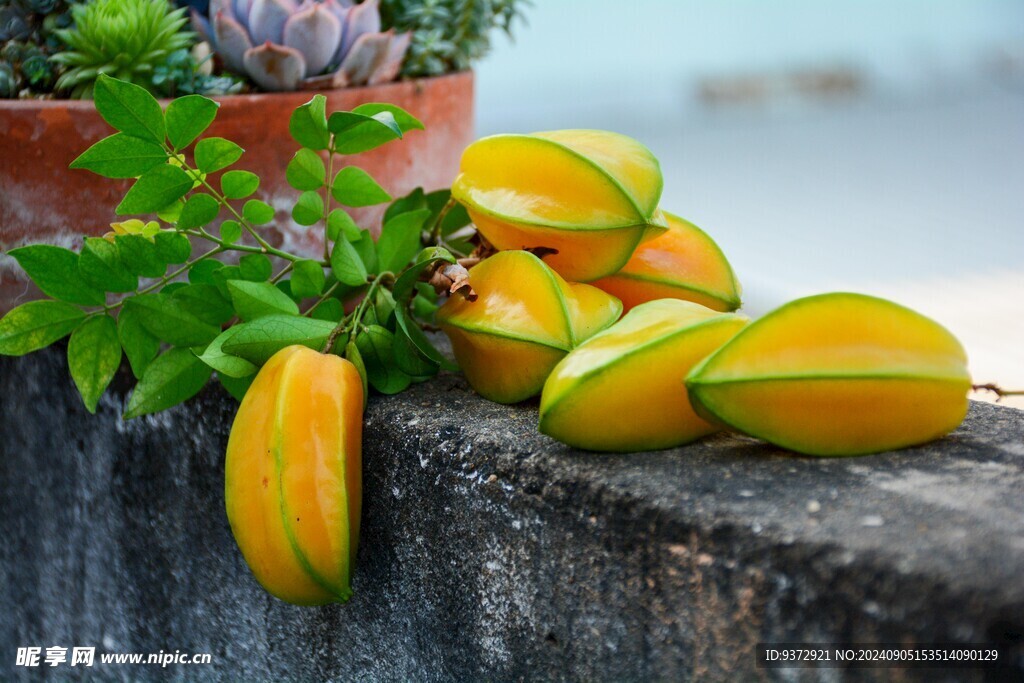 杨桃