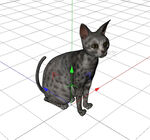 C4D模型 猫