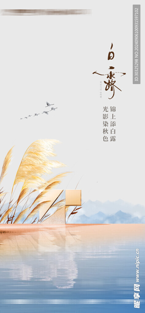 白露海报