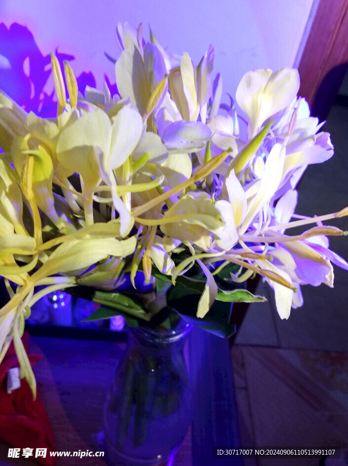 姜花