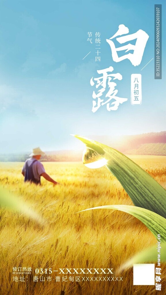 白露海报