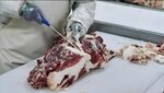 切牛肉