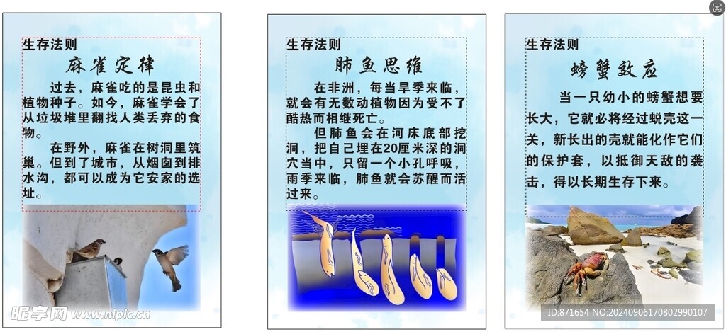 生存法则