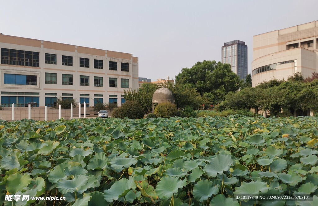 苏州大学东校区 