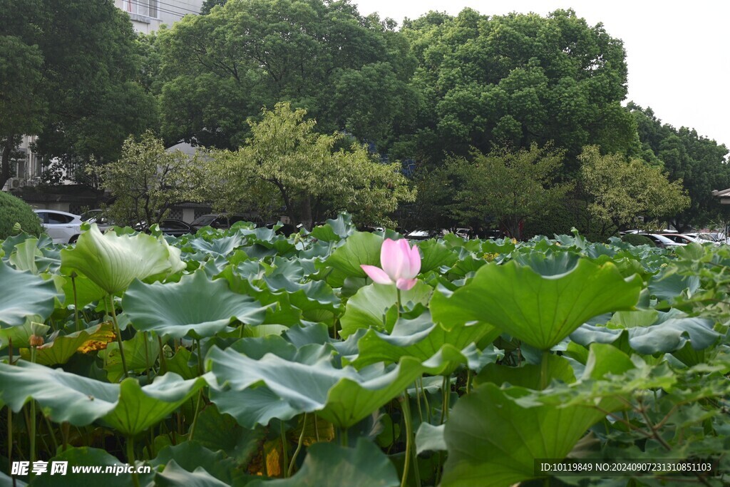 苏州大学东校区 